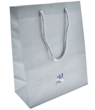 Tint Tote-Colord 8x4x10