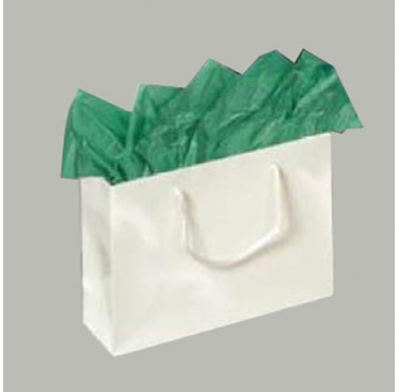 Eurotote Gloss  5.5x3.5x6
