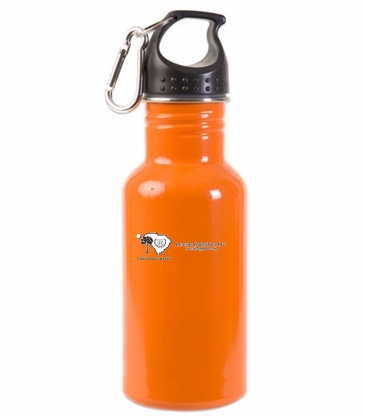 17oz Stainless Steel Adventure Water Bottle With Carabiner ( 50-P