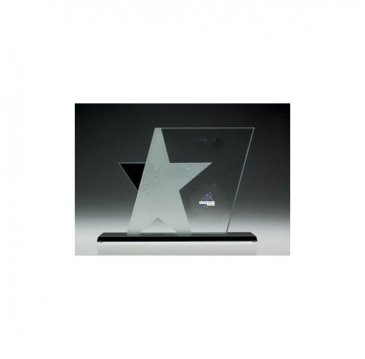 Ebony Star Award
