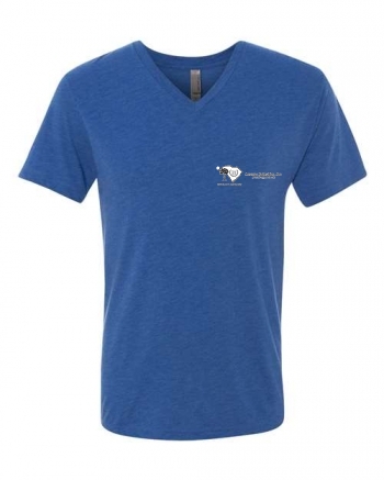 Men's Triblend V-Neck T-Shirt