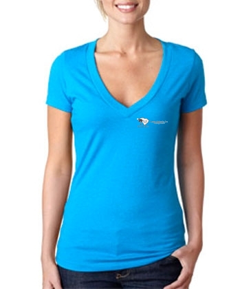 Ladies' CVC Deep V-Neck T-Shirt