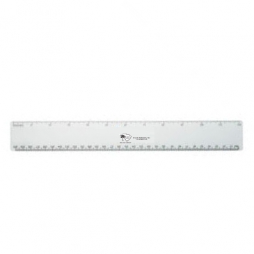 12" Translucent Plastic Ruler