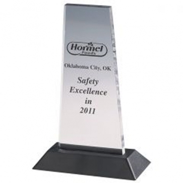 Acrylic 1 Award