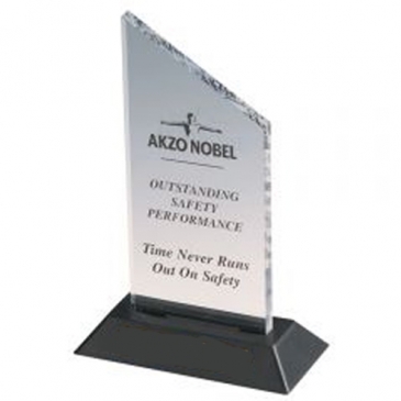 Acrylic 2 Award