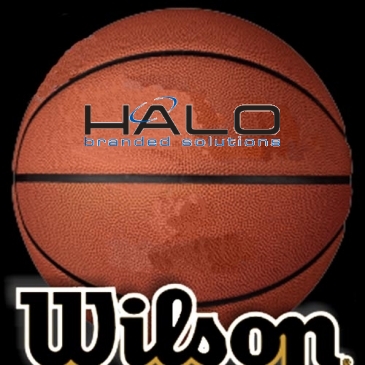 Wilson Composite Leather Basketballs