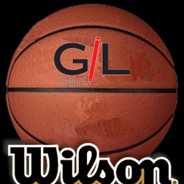 Wilson Composite Leather Basketballs