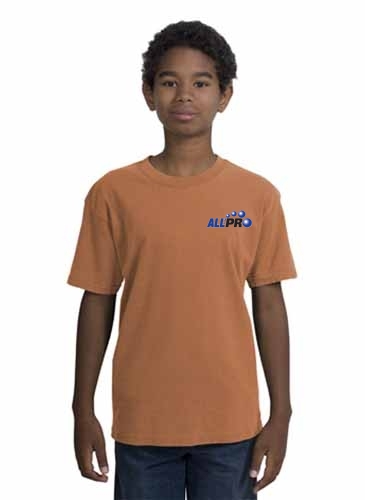 District Threads - Youth Pigment-Dyed Tee