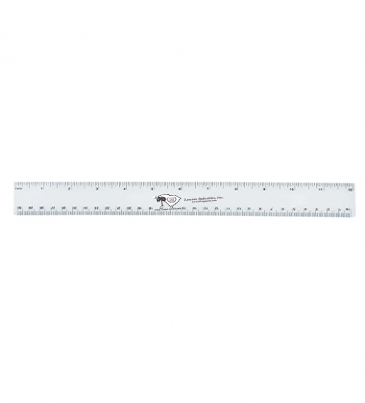 Flexi Ruler