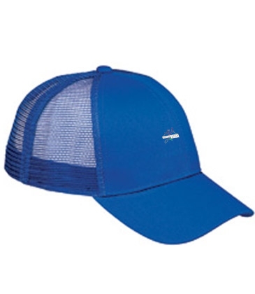 Big Accessories 6-Panel Structured Trucker Cap