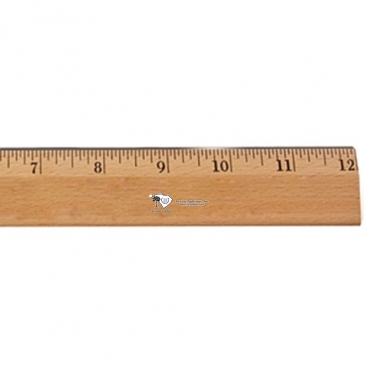12"Exec.Office Ruler, Lacquer Finish w/Metal Edge, Eng.Scale