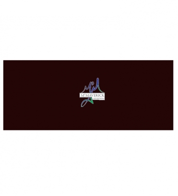 4' Fast Trak and Show 'N Write Header Graphic Panel