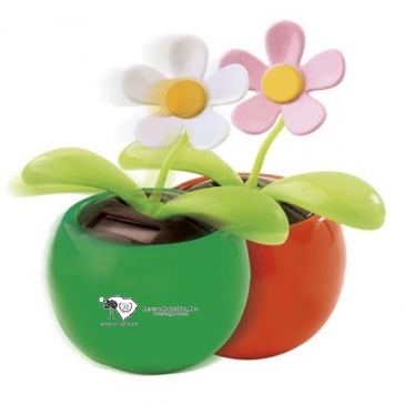 Solar Dancing Flower