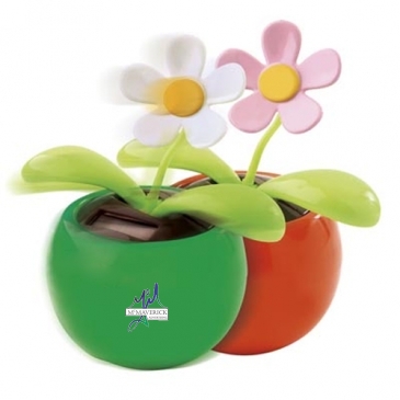 Solar Dancing Flower