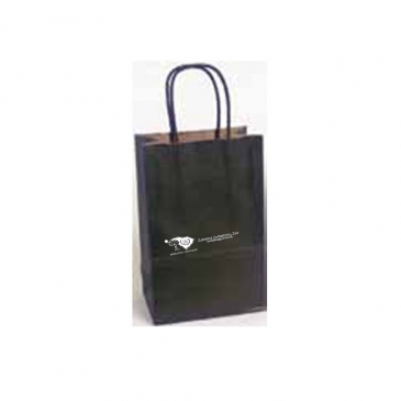 Premium Tinted Stripe Paper Shopping Bag-Colors 16X6X12.5