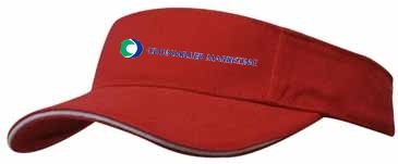 Brushed Heavy Cotton Visor