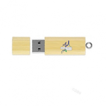 USBEM USB 2.0 Eco Metropolis Drive™ EM