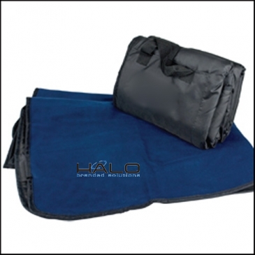 Picnic Stadium Blanket