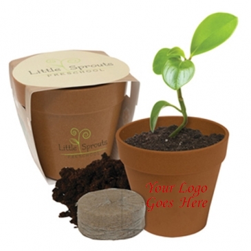 Mini Bamboo Blossom Kit