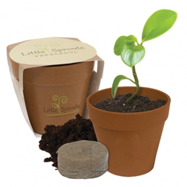 Mini Bamboo Blossom Kit