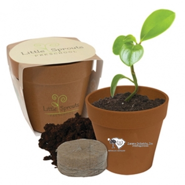 Mini Bamboo Blossom Kit