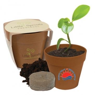 Mini Bamboo Blossom Kit