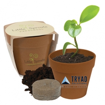 Mini Bamboo Blossom Kit