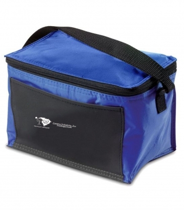 Insulated 6 Pack Cooler