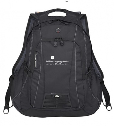 High Sierra Magnum 15" Computer Backpack