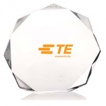 Enterprise Octagon Award