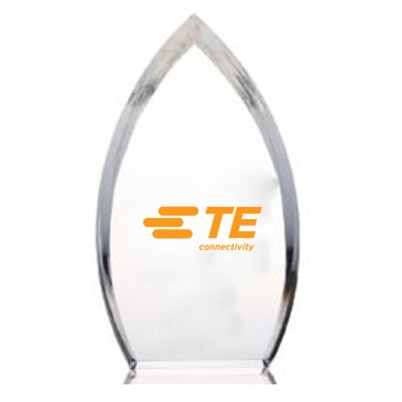 Enterprise Teardrop Award