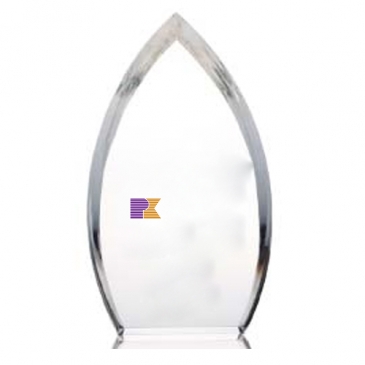 Enterprise Teardrop Award