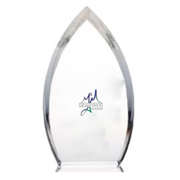 Enterprise Teardrop Award
