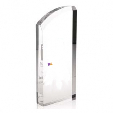 Enterprise Curve Award