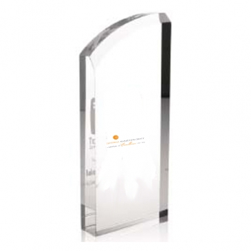 Enterprise Curve Award