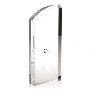 Enterprise Curve Award