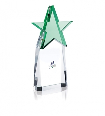 Top Star Award