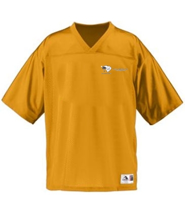 Youth Stadium Replica Jersey