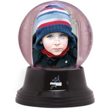 Small Light Up Snowglobe