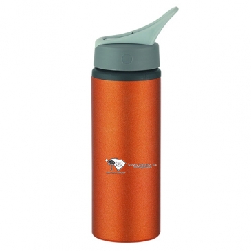 25 Oz. Aluminum Bike Bottle