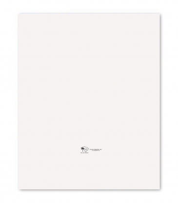 Rectangle Magnet 3 x 3-3/4