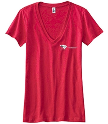 Ladies' Jersey Short-Sleeve Deep V-Neck T-Shirt