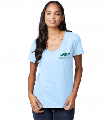 Ladies' Perfect-T V-Neck T-Shirt
