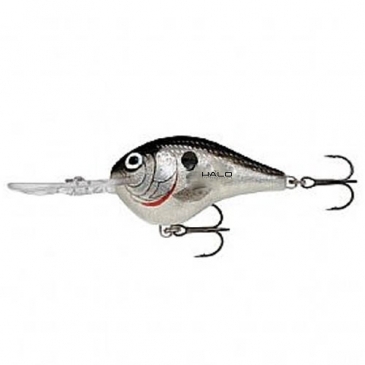 Rapala® Dives To 6'