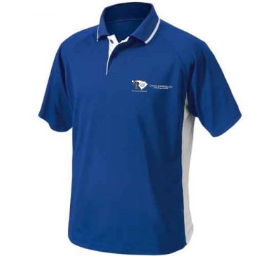 Men's Color Blocked Wicking Polo