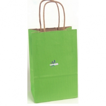 Premium Tinted Stripe Paper Shopping Bag-Colors 8X4.5X10.5