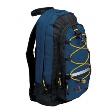 Slim Vertical Backpack