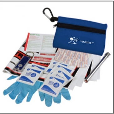 Zip Tote Auto Safety Kit