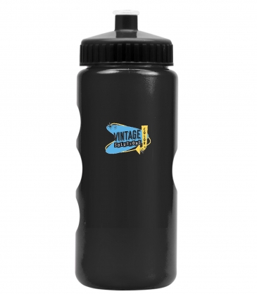 Mini Peak - 22 Oz. Tritan™ Metalike Bottle With Pushpull Lid