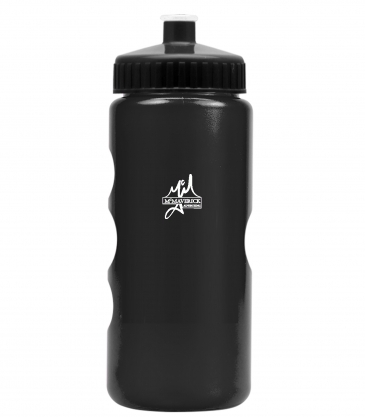 Mini Peak - 22 Oz. Tritan™ Metalike Bottle With Pushpull Lid